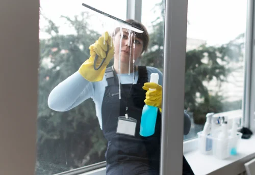 Nettoyage de vitres intérieures et extérieures à Mouais